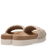 MARUTI Billy Slides